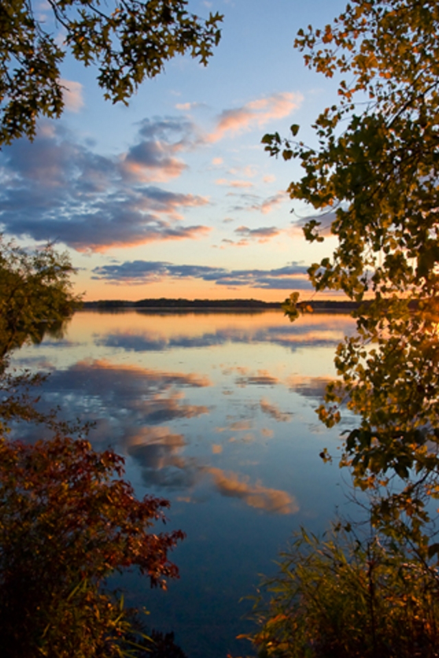 Nature Reflection Wallpaper