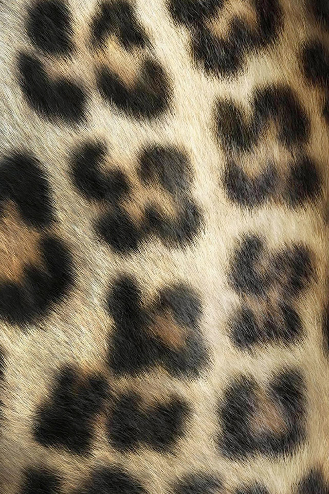 Leopard Skin Wallpaper