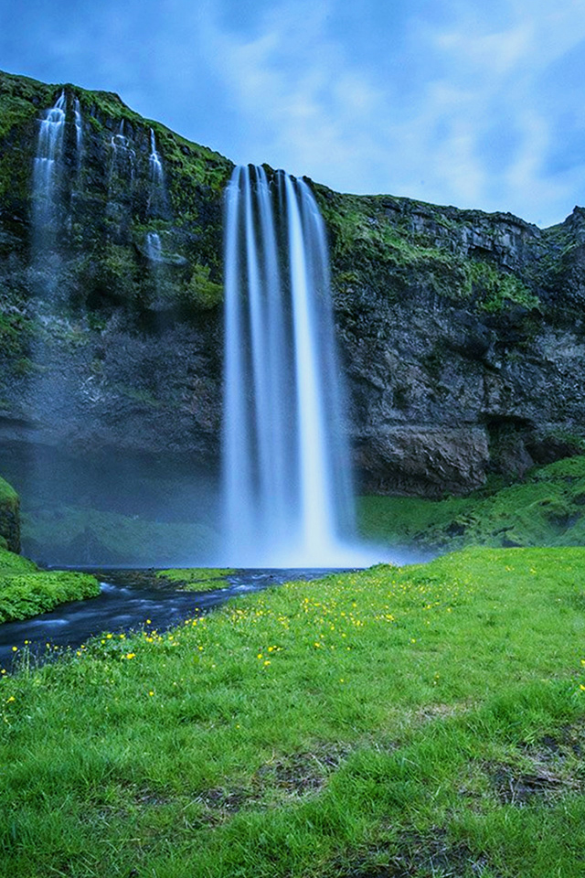 Forest Waterfall Wallpaper