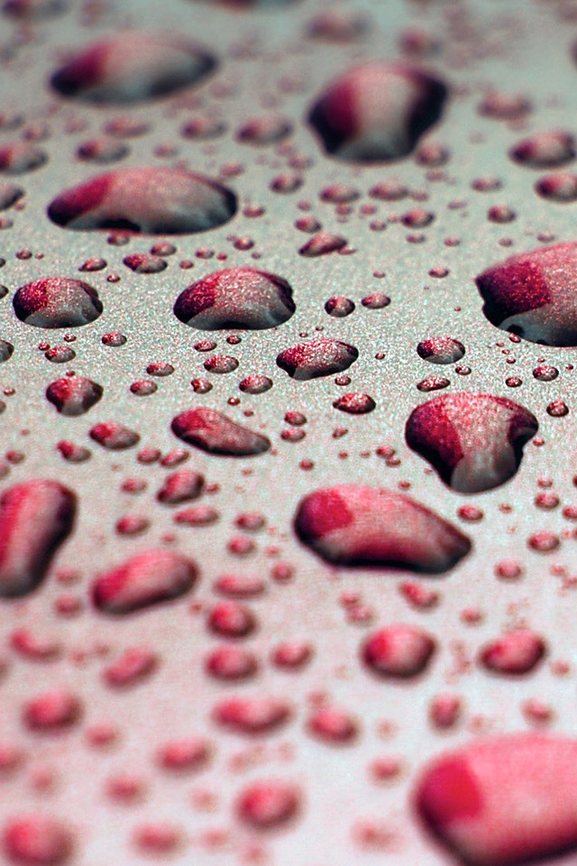 Red Drops Wallpaper