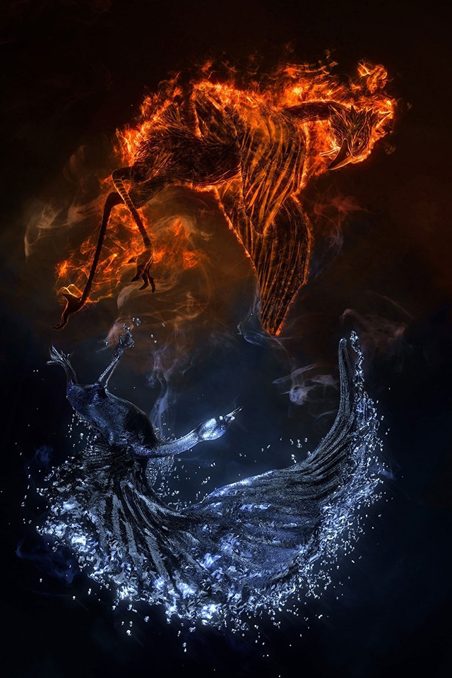 Fire vs Water Wallpaper