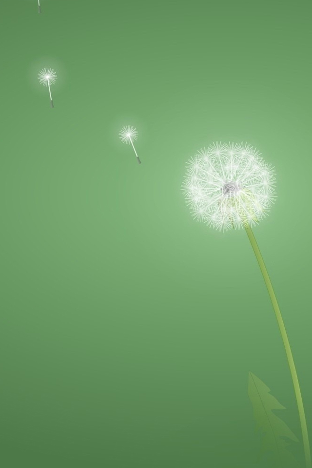 Dandelions Wallpaper