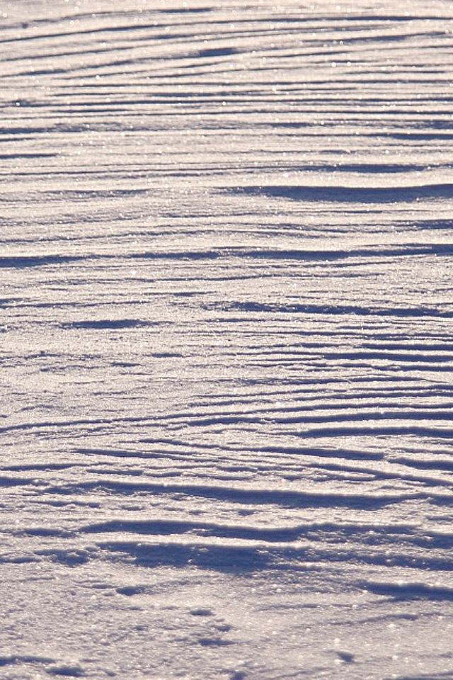 Snow Texture Wallpaper