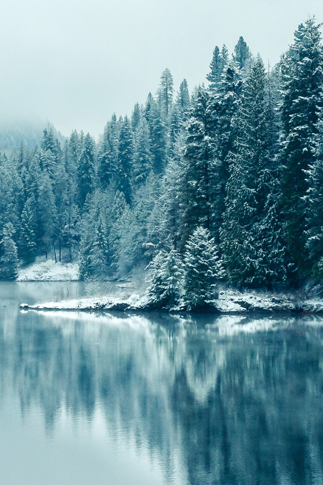 Winter Lake Wallpaper