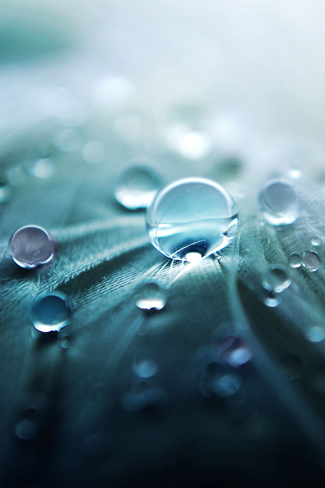 Macro Waterdrops Wallpaper