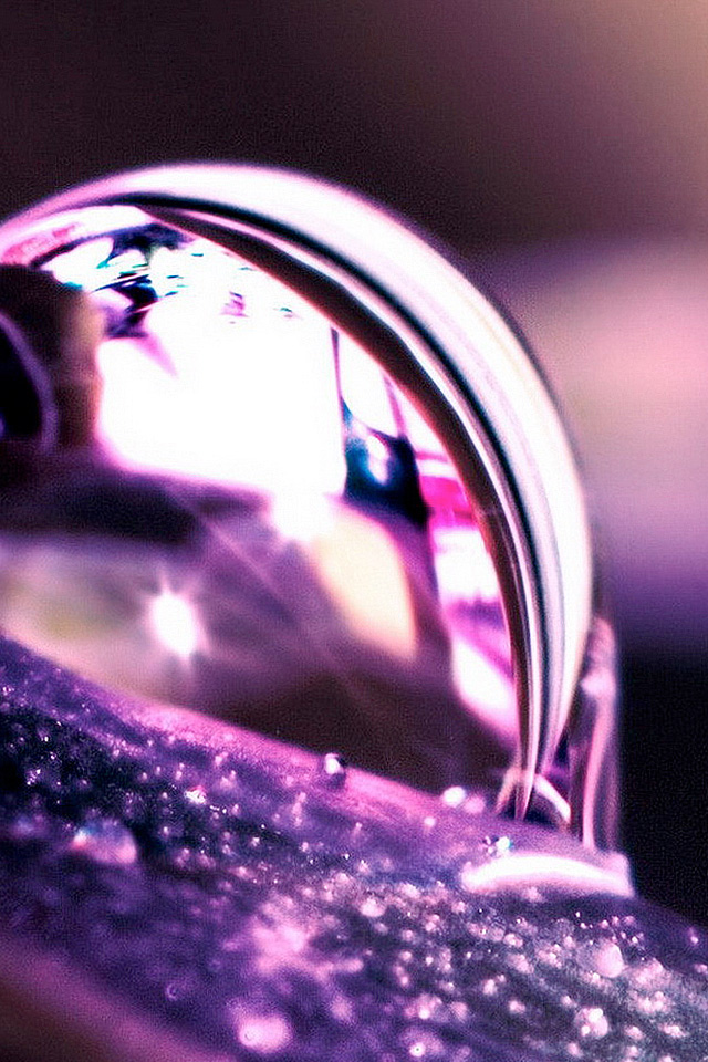 Macro Shot Wallpaper