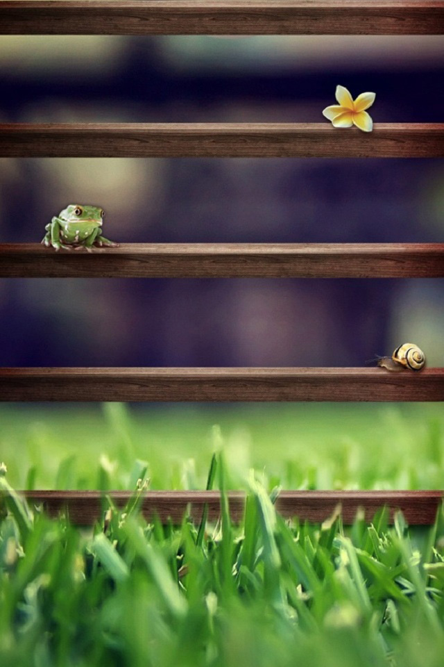 Garden Shelf Wallpaper