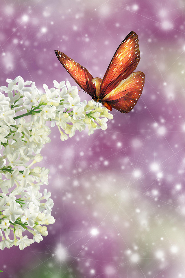 Spring Butterfly Wallpaper