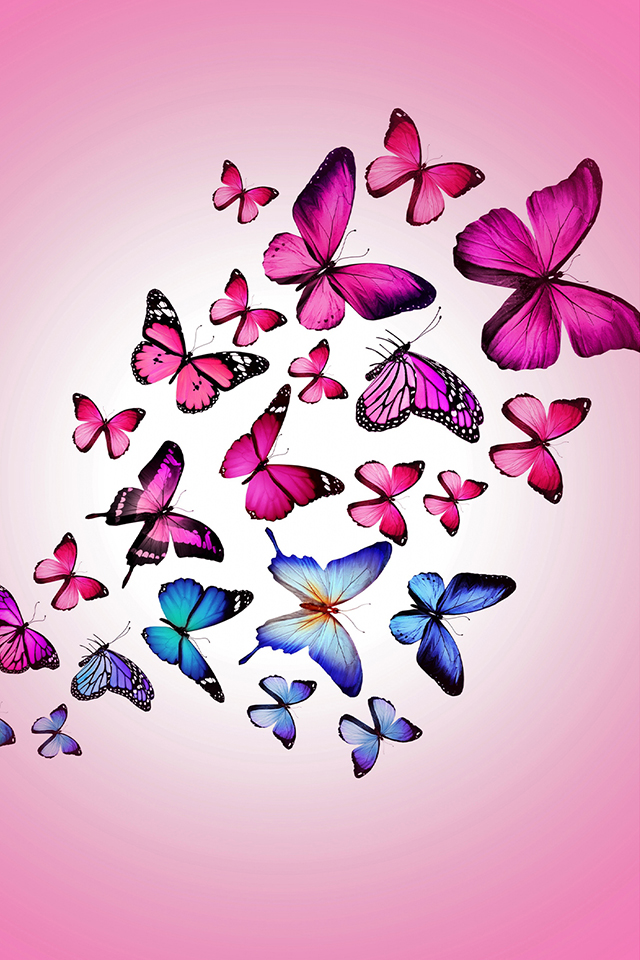 Pink Butterflies Wallpaper