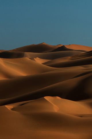 Desert Sands